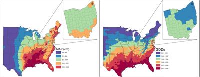 Life cycle inventory of Miscanthus production on a commercial farm in the US